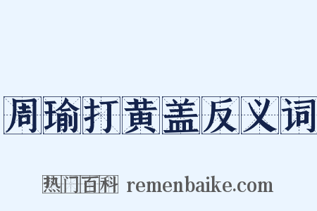 周瑜打黄盖反义词是什么意思的图片